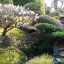 Decoration de jardin japonais